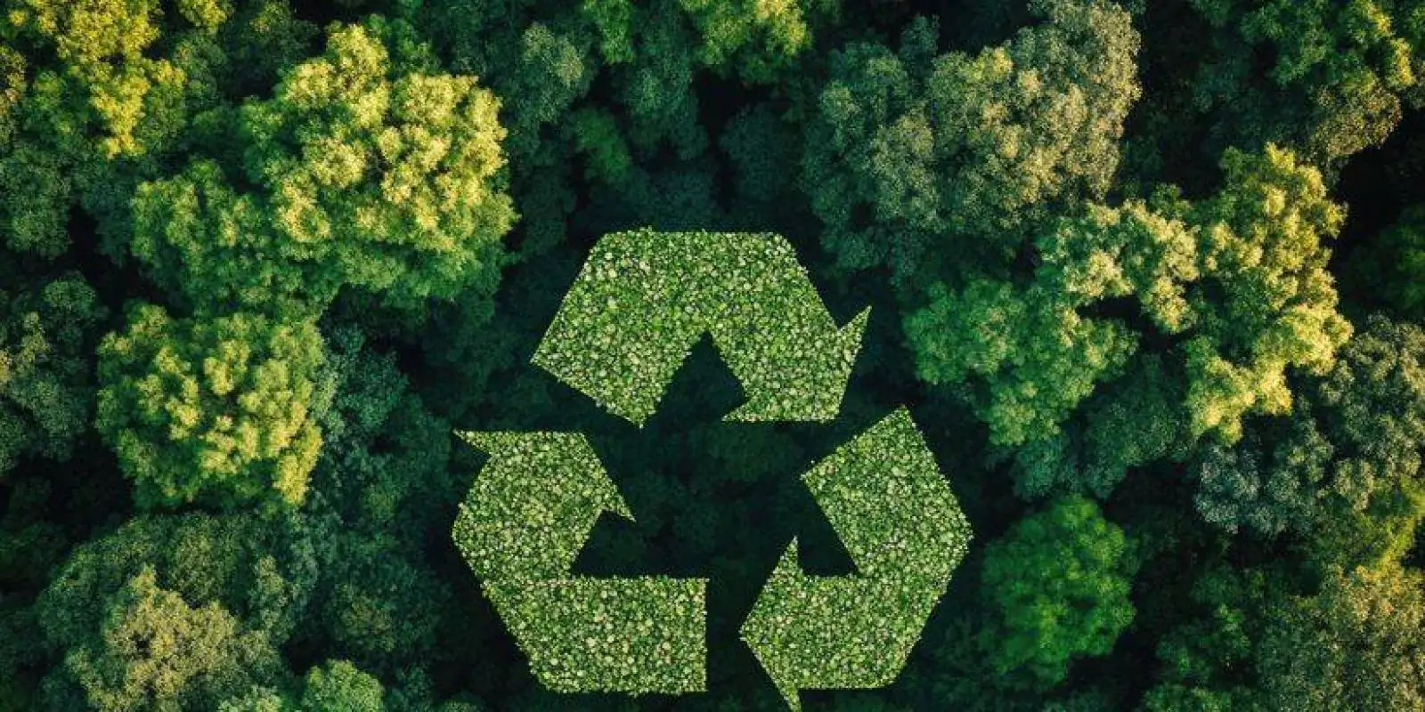 Lei da Reciclagem: R$ 3 bilhões em incentivos