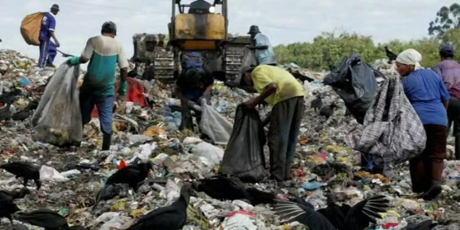 O paradoxo da reciclagem no Brasil: por que os trabalhadores que mais contribuem são os que mais sofrem?
