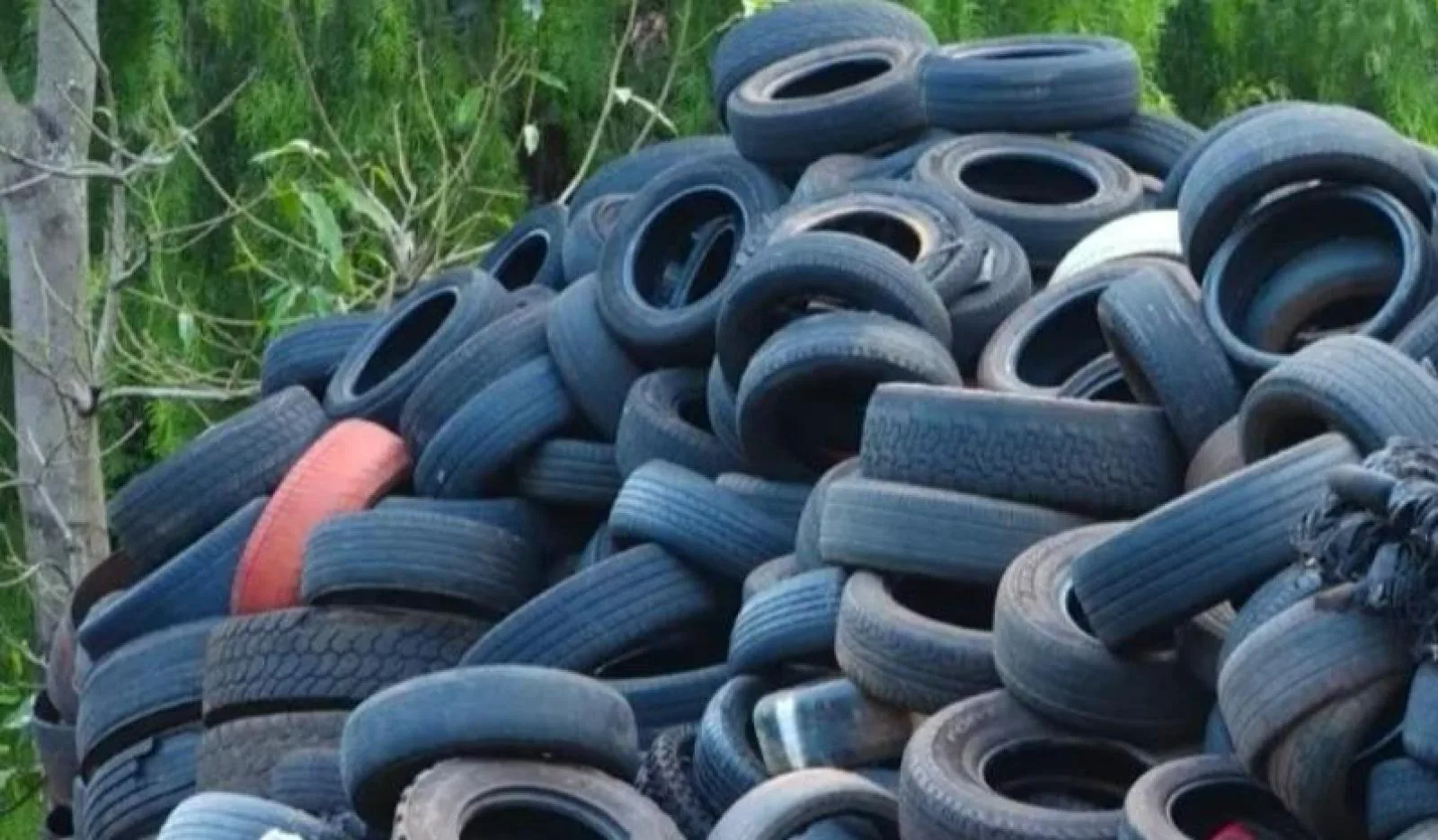 Pneus para coleta e destinação adequada
